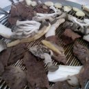 마지농원 이미지