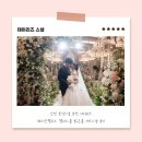 리즈펠리스 | 인천 본식스냅 추천 데이리즈 웨스턴팰리스 팰리스홀 밝은홀 서브스냅 후기