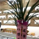 우리들안경콘택트 이미지