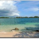 홍비야