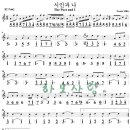 시인과 나