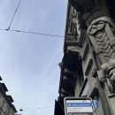 스위스랜드 이미지