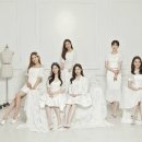 베리굿트래블 이미지