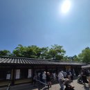 중도아동공원 | 용인) 용인 한국민속촌 아이랑 방문 꿀팁과 놀이기구부터 살귀옥까지 알차게 즐긴 내돈내산 후기