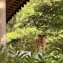 브이랜드 이미지