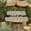 허니댕댕 | 제주 투어패스 제주가족여행 타임제로 72시간 3박4일 74만원 혜택 후기 활용 꿀팁