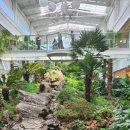 행운의 용머리 팜브릿지(Palm bridge)에 가다. 이미지