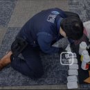 방력