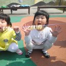 보미사 이미지