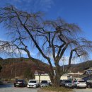 함양남서로 이미지