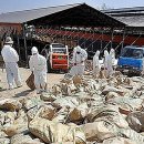 재기농장 이미지