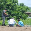 청산양봉원 이미지