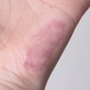 블랙드립 | 반디 립드립(블랙튤, 브루딧) 사용 후기 | 가로볼륨립으로 완성하는 볼륨에이징케어