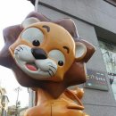 신광동물병원 이미지