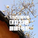 소로3-109 이미지