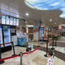 보라보라푸드팰리스 이미지