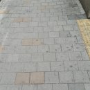 중앙복돼지