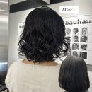 ㈜파마존 | 정릉 미용실 단발히피펌 잘하는 곳 모먼트영영 거지존 탈출 맛집