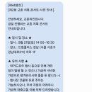 교촌 제2회 치톡콘서트 후기 / 옥수수치킨치즈볼냠냠 바다 강연까지!