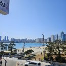 풍성구이 | 광안리조개구이 무한리필 끝내주는 맛집 후기