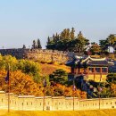 단풍·억새 조합, 이번 주 아니면 못 본다"… 5.1km 성곽 따라 펼쳐지는 가을 절경 산책길 이미지