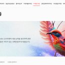 포토샵실무 및 GTQ자격증 이미지