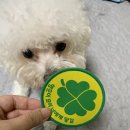 주인메디 이미지