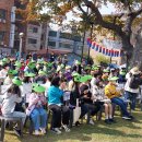 540년생 느티나무 축제 이미지