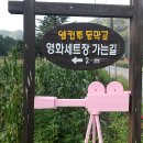 【영월 여행】웰컴 <b>투</b> 동막골... "마이 아파"