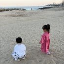 바닷가민박 | (바닷가 진짜 30초) | 마당이 매력적인 | 민박의 전설 숙박 후기