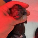 화이트 버블 이미지