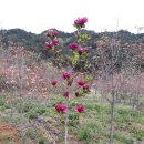 향원농장 이미지