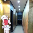 SG 골드 스크린 골프 이미지
