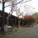 채일농산물2 이미지