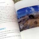 대조-011 이미지