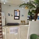 처인성로 | 용인 뛰뛰댕댕 오프리쉬 가능한 애견동반 바베큐장 솔직후기