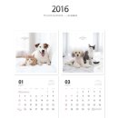 도그앤캣 이미지