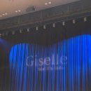 서울문화예술전문학교 | 노원발레페스티벌 클래식 발레 지젤 관람 후기 노원문화예술회관 즐기기❤️