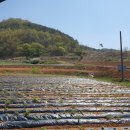 진선미농장 이미지