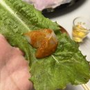 동해) 묵호항 횟집 추천/진짜 단골 후기[사라수산]