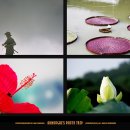 약골자전거도로 이미지