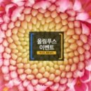 봄을담다 이미지