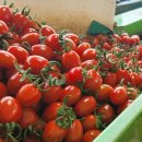 꿈꾸는농장 이미지