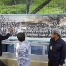 정선초등학교 이미지