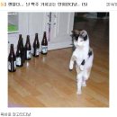 아니 - 강남구 삼성로145길 11-6 | 아니