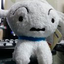 흰둥이네 인형뽑기 이미지