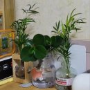 월은 | 10 월은 무엇을 샀을까?