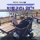 ㅇㅂ무시설 | 대형견 유모차 로얄테일즈 신상 빅토리아 웨건. 김통키 새 개모차 후기