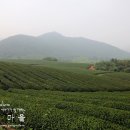의흥오토바이
