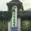 고산자연휴양림 | 전주 근교 계곡 추천 완주 고산자연휴양림 정자 예약 후기